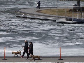 People walk their dogs around Beaver Lake in Montreal on April 4, 2020.