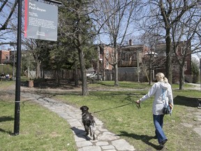 Dog owners have always been known for logging more walking minutes than the general population. And these days, they're probably getting more exercise than ever.