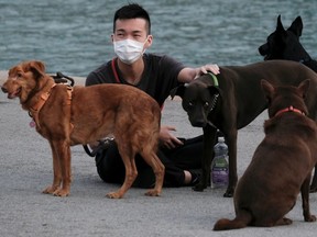 A man wears a protective face mask sitting next to his dogs, following the outbreak of the new coronavirus, in Hong Kong on March 6, 2020.