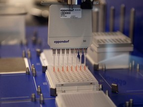 FILE PHOTO: Researches at the University of Minnesota Genomics Center set up an automated liquid handler as researchers begin a trial to see whether malaria treatment hydroxychloroquine can prevent or reduce the severity of the coronavirus disease (COVID-19), at the University of Minnesota in Minneapolis, Minnesota, U.S.