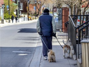 A man walks his dog on a narrow sidewalk on Ste-Anne St. in Ste-Anne-de-Bellevue May 12, 2020.