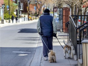 A man walks his dog on a narrow sidewalk on Ste-Anne St. in Ste-Anne-de-Bellevue on Tuesday, May 12, 2020.  The mayor of the city had complained about the lack of police presence on the commercial street enforcing social distancing.