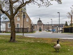 "I have only had a shower once since April 24," said an inmate who has been under 24-hour lockdown at Bordeaux jail due to the COVID-19 pandemic.