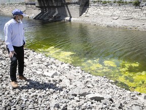 Richard Bourhis says he has never seen so much algae in the Lachine Canal in the 14 years he’s lived in the area.