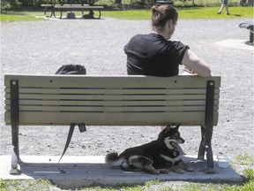 Chewie hides from the sun with owner Yan Blais, at Laurier Park May 22, 2020. The parks were reopened after being closed since March.