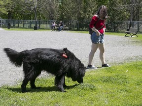 Rosie April and Pato enjoy the dog enclosure at Laurier Park.