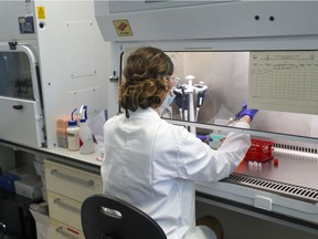 A scientist works in an Oxford Vaccine Group laboratory in Oxford. Trials of a vaccine against COVID-19 began on April 23, 2020, with 10,000 people across the United Kingdom in the process of being vaccinated in the latest study to assess the potential success of the treatment.
