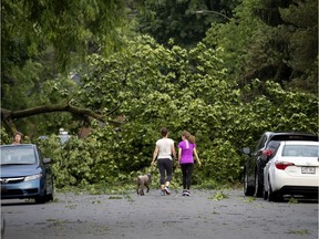 Residents walk down 47th Ave in the Lachine borough to inspect fallen trees that closed the street to traffic after a snap storm in Montreal on Tuesday, June 23, 2020.