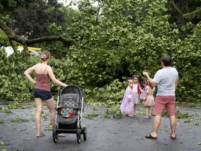 Lachine residents check out fallen trees on 47th Ave. that closed the street to traffic after a snap storm in Montreal, on Tuesday, June 23, 2020.