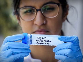 McGill University research assistant Sneha Singh with wastewater samples that have been collected and frozen since the COVID-19 pandemic began.