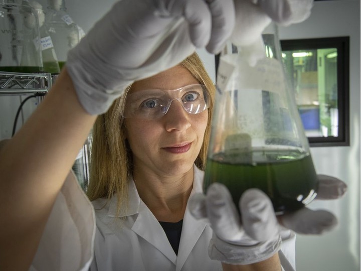  “If more people are infected, the more virus there will be in the wastewater,” says Polytechnique professor Sarah Dorner, photographed in 2018.