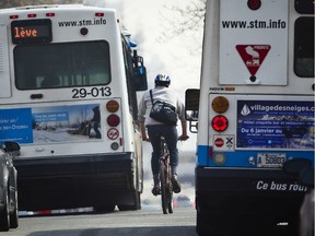 A cyclist rides between STM buses on St-Urbain St. in 2012.