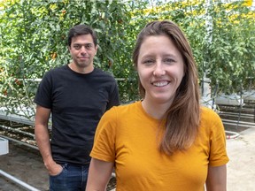 Lufa Farms co-founders Mohamed Hage and Lauren Rathmell at new rooftop greenhouse in St-Laurent on Tuesday, Aug. 25, 2020.