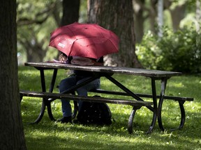A man uses an umbrella to stay dry and continue his work at a picnic table in the park in Montreal, on Wednesday, August 5, 2020. (Allen McInnis / MONTREAL GAZETTE)