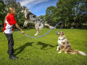 SuperDog Shirley jumps rope held by trainer Émilie Ménard and Shirley's father, Enzo, at Montreal park on Thursday, Sept. 3, 2020.