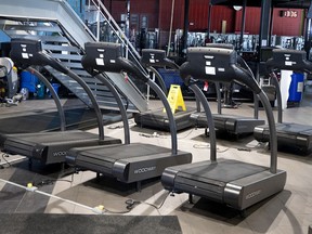 Gym memberships that started in the fall and spring resulted in better attendance over 12 months compared to those that started in the summer or winter — a phenomenon researchers suggested is due to the underlying motivation to get in shape.
