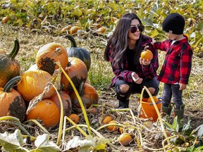 Lina Maiolo and her son Leo pick pumpkins in the pumpkin patch at Quinn Farm in Ile-Perrot, west of Montreal Monday September 14, 2020.