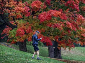 Miles Hollingsbury, visiting from Vancouver, checks the photo he just took of the colourful leaves on Mount Royal in Montreal Wednesday September 30, 2020.