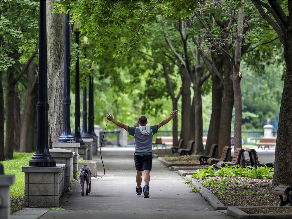 A man does arm exercises while walking his dog in Parc Lafontaine in Montreal on Sept. 2, 2020. A team of researchers from McGill University used information collected by national and international agencies from more than 140 countries to see how “global humanity allocates its 190 billion hours per day” in being active.