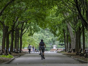 A man rides his bike under a canopy of trees in Parc Lafontaine in Montreal Wednesday September 2, 2020. (John Mahoney / MONTREAL GAZETTE)