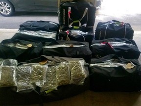 A total of 471 pounds of weed recovered from two vehicles driven by two brothers.