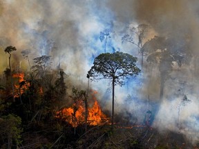 In this file photo taken on Aug. 15, 2020, smoke rises from an illegally lit fire in Amazon rainforest reserve, south of Novo Progresso in Para state, Brazil.