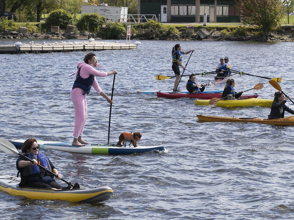 Canoes, kayaks & pedal boats - Parc Jean-Drapeau