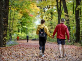 A couple walks through fallen leaves on Mount Royal in Montreal Tuesday October 7, 2020.