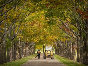 A groundskeeper blows leaves off the driveway of an estate in Sainte-Marthe on Oct. 15, 2020.