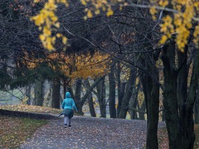 A woman braves the rain to walk on Mont Royal in Montreal, on Oct. 21, 2020.