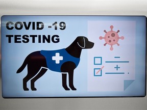 An airport sign illustrates the new COVID-19 canine test procedure on Sept. 25, 2020 in Helsinki, Finland. A pilot study at Helsinki airport provides passengers with free coronavirus tests using dogs to detect infections by smell.