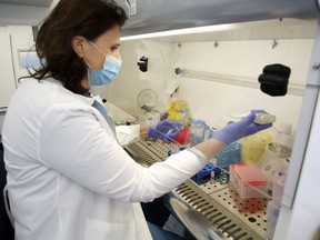 A lab technician tests blood samples of suspected Covid-19 patients at the microbiology laboratory of Barzilai Medical Centre in the southern Israeli city of Ashkelon on September 22, 2020.