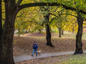 Sam Beitel, and his golden doodle Max, walk through Westmount Park on Thursday October 22, 2020 wearing his Expos jacket and a Canadiens mask.
