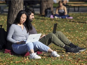 McGill University students Xiao and André share a tree while working on Nov. 5, 2020.