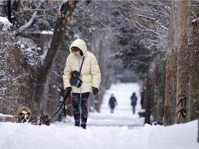 Jessica walks her English Bulldogs, Hilma, right and Bruno in an alley, freshly dusty with snow, in Mile End on Nov. 25, 2020.