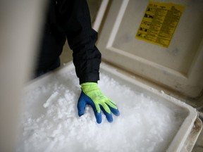 A man poses with a fresh supply of coarse dry ice pellets at the Dry Ice Nationwide manufacturing facility on November 11, 2020 in Reading, England.