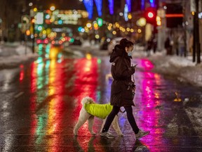 A woman walks her dog across de Maisonneuve Blvd. on Wednesday, Nov. 25, 2020.