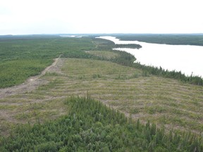 Clear-cut forest on the Broadback River on August 18, 2015, in Waswanipi, Quebec: "Since the 1980s, Quebec’s forest industry has expanded rapidly northward to tap into the high-quality timbers of the boreal zone," Corey Lesk, Daniel Horen Greenford and Joshua Sterlin write.
