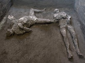 This undated photo handout on Saturday, Nov. 21, 2020, by the Pompeii Archaeological Park shows casts of the bodies of two men, a 40-year-old master and his young slave, after they were found during recent excavations of a Villa in Civita Giuliana in the outskirts of Pompeii, as park officials said conditions were optimal to get casts of the victims, following the technique perfected in 1863 by Giuseppe Fiorelli. The ancient Roman city of Pompeii was engulfed under a hail of volcanic ash after nearby Mount Vesuvius erupted in the year 79. Vesuvius' eruption covered the area in a toxic, metres-thick layer of volcanic ash, gases and lava flow which then turned to stone, encasing the city, allowing an extraordinary degree of frozen-in-time preservation both of city structures and of residents unable to flee.