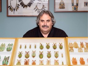 Stéphane Le Tirant is seen with leaf insect specimens.