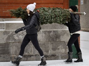 Courteney Maitland, left, and Magdalena Mancini keep their distance while carrying their Christmas tree home, in Montreal, on Wednesday, December 9, 2020.