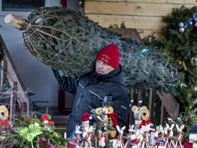 Christmas tree vendor Antoine Michaud carries a tree to a customer's car at Atwater Market in Montreal Wednesday December 16, 2020. (John Mahoney / MONTREAL GAZETTE) ORG XMIT: 65508 - 4499