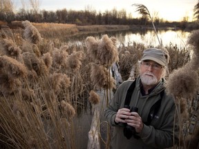 Jim Harris is one of the activists trying to turn the St-Laurent Technoparc lands into a wildlife reserve.
