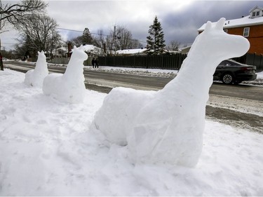 Snow horses on the lawn of a home on 52st. Ave. in the Lachine borough of Montreal on Jan. 18, 2021.