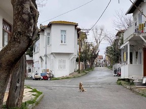 An empty street in April in Büyükada, Turkey, an island near Instanbul, where Judy was stranded for nearly six months at the start of the COVID-19 pandemic.