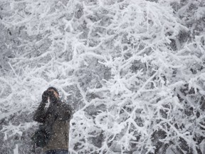 A man stops to take a picture as Mount Royal is turned in to a winter wonderland during a heavy snow fall on Jan. 16, 2021.