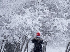 A woman stops to take a picture of the winter wonderland of Mount Royal's snow-covered trees in Montreal Jan. 16, 2021.