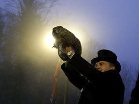 If Feb. 2 is sunny, the groundhog will see their shadow and retreat to their burrow, forecasting a longer winter.