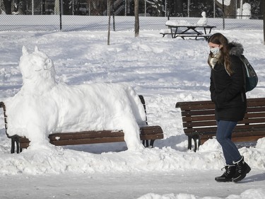 A snowcat was doing what any normal cat might have done in Jeanne-Mance Park on Monday, Jan. 18, 2021.