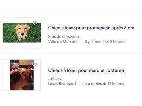 Listings for dog rentals on Kijiji that appeared after Quebec announced a COVID curfew with a slight exception for people walking their pets.